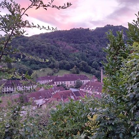 Le Coeur De Sel Appartement Salins-les-Bains Buitenkant foto