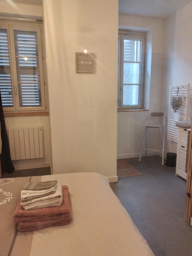 Le Coeur De Sel Appartement Salins-les-Bains Buitenkant foto
